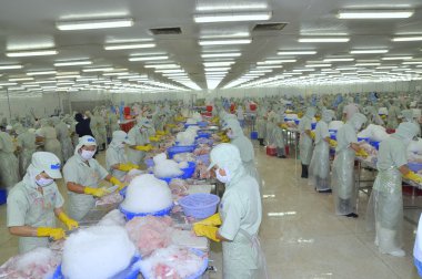 Tien Giang, Vietnam - March 2, 2013: Workers are working in a seafood processing plant in Tien Giang, a province in the Mekong delta of Vietnam