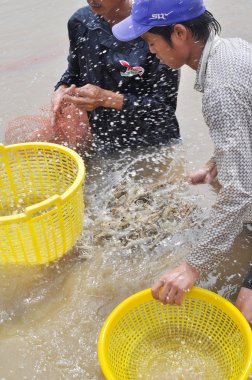 Bac Lieu, Vietnam - 22 Kasım 2012: Vietnam Çiftçiler karides balık ağı gölet ve Bac Lieu şehirde küçük sepetleri hasat