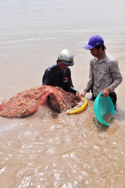 Bac Lieu, Vietnam - 22 Kasım 2012: Balıkçılar onların Gölet karides balık ağlarına Bac Lieu City tarafından hasat