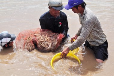 Bac Lieu, Vietnam - 22 Kasım 2012: Balıkçılar onların Gölet karides balık ağlarına Bac Lieu City tarafından hasat