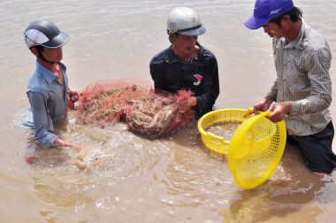 Bac Lieu, Vietnam - 22 Kasım 2012: Balıkçılar onların Gölet karides balık ağlarına Bac Lieu City tarafından hasat