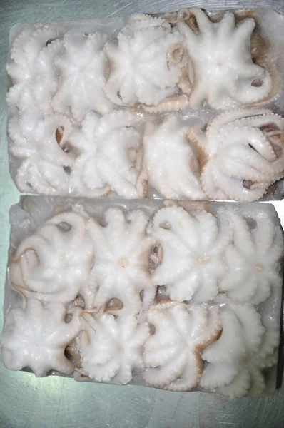Gefrorene Tintenfischprodukte für den Export in einer Fischfabrik in Vietnam — Stockfoto