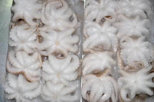 Frozen octopus product for exporting in a seafood factory in Vietnam — Stock Photo, Image