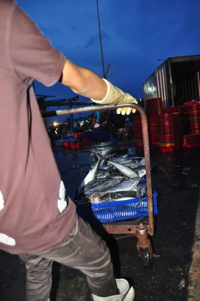 Träger im hon ro seehafen laden Körbe mit Fischen auf den LKW zu einer lokalen Verarbeitungsanlage in nha trang cit — Stockfoto