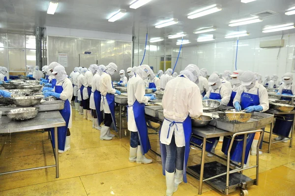 Tra Vinh, Vietnã - 19 de novembro de 2012: Os trabalhadores estão descascando e processando camarões crus frescos em uma fábrica de frutos do mar no delta do Mekong do Vietnã — Fotografia de Stock