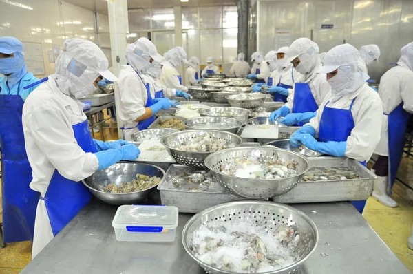 Tra Vinh, Vietnam - November 19, 2012: Workers are peeling and processing fresh raw shrimps in a seafood factory in the Mekong delta of Vietnam — Stockfoto