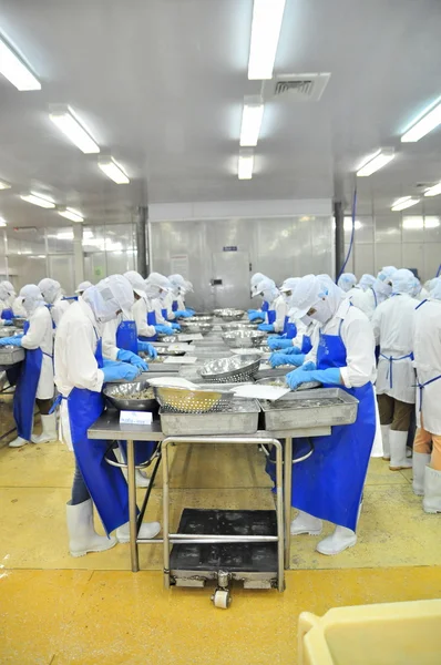 Tra Vinh, Vietnam - November 19, 2012: Workers are peeling and processing fresh raw shrimps in a seafood factory in the Mekong delta of Vietnam — 图库照片