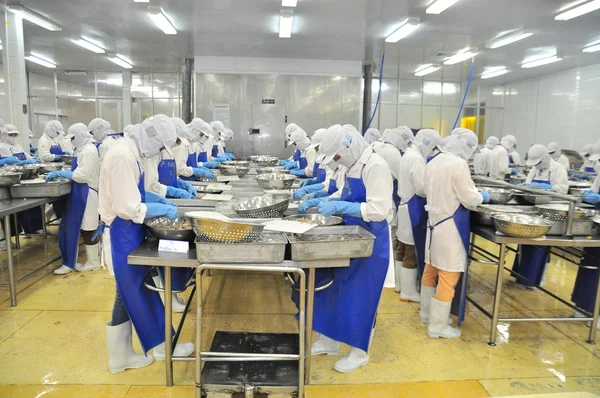 Tra Vinh, Vietnam - 19 de noviembre de 2012: Los trabajadores están pelando y procesando camarones crudos frescos en una fábrica de mariscos en el delta del Mekong de Vietnam — Foto de Stock