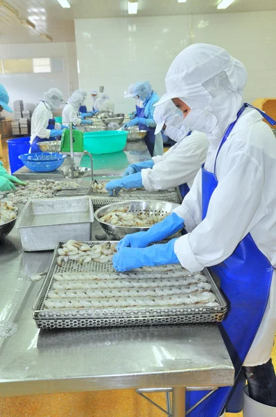Tra vinh, Vietnam - 19. November 2012: Arbeiter ordnen geschälte Garnelen auf einem Tablett um, um sie in die Tiefkühlmaschine einer Fischfabrik im Mekong-Delta von Vietnam zu füllen. — Stockfoto