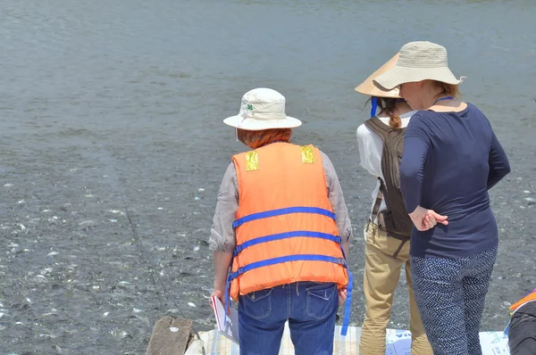 Dong thap, Vietnam - 1. März 2013: Internationale Reporter und Journalisten besuchen eine Pangasius-Welsfarm im Mekong-Delta von Vietnam — Stockfoto