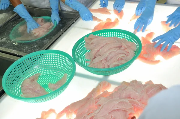Tien Giang, Vietnam - March 2, 2013: Workers are testing the color of pangasius fish in a seafood processing plant in Tien Giang, a province in the Mekong delta of Vietnam — Stock Photo, Image
