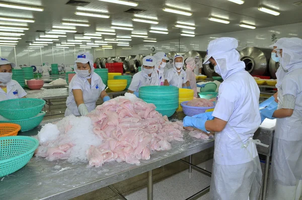 Tien giang, Vietnam - 2. März 2013: Arbeiter testen die Farbe von Pangasiusfischen in einer Fischverarbeitungsanlage in tien giang, einer Provinz im Mekong-Delta von Vietnam — Stockfoto