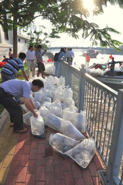 Ho Chi Minh city, Vietnam - 24 Nisan 2015: balıklar plastik torbalarda Saygon Nehri Vietnam Ulusal balıkçılık günde yayımlanması hazırlanıyor tutulur