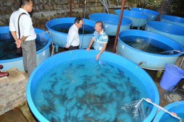 Dong, Vietnam - 5 Mayıs 2012 lam: Mersin balığı kuluçka Tuyen Lam Gölü, Da Lat şehir çiftçilere tanıtıldı