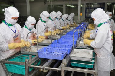Hau Giang, Vietnam - 23 Haziran 2013: İşçi işleme tesisi Hau Giang, Mekong delta Vietnam ilinde bir karides içinde çalışıyoruz