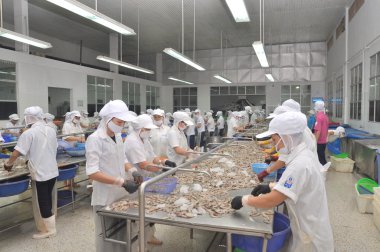 Quy Nhon, Vietnam - 1 Ağustos 2012: İşçi Quy Nhon city, Vietnam bir deniz ürünleri fabrikasında taze çiğ karides kabuk soyma