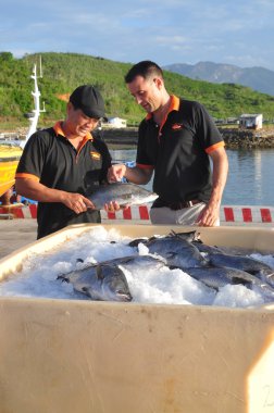 Nha Trang, Vietnam - 23 Haziran 2013: Barramundi balığı Van Phong koyda çiftlik ve dünya pazarına ihraç