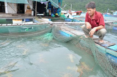 Phu Yen, Vietnam - December 21, 2011: A farmer with his lobster farming cage in the Vung Ro bay in Vietnam