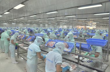 Bir Giang, Vietnam - 12 Eylül 2013: İşçiler, pangasius yayın balığı bir deniz ürünleri işleme tesisi bir Giang, Vietnam Mekong Deltası'nda bir il içinde filleting