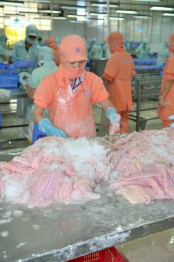 Bir Giang, Vietnam - 12 Eylül 2013: İşçiler, pangasius yayın balığı bir deniz ürünleri işleme tesisi bir Giang, Vietnam Mekong Deltası'nda bir il içinde filleting