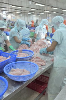 Bir Giang, Vietnam - 12 Eylül 2013: İşçiler, pangasius yayın balığı bir deniz ürünleri işleme tesisi bir Giang, Vietnam Mekong Deltası'nda bir il içinde filleting