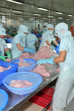 Bir Giang, Vietnam - 12 Eylül 2013: İşçiler, pangasius yayın balığı bir deniz ürünleri işleme tesisi bir Giang, Vietnam Mekong Deltası'nda bir il içinde filleting