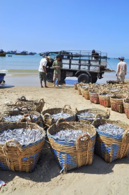Lagi, Vietnam - 26 Şubat 2012: Su ürünleri işleme tesisi için kamyona yüklemek için bekleyen birçok sepetleri plajında yer almaktadır