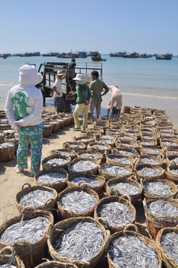 Lagi, Vietnam - 26 Şubat 2012: Su ürünleri işleme tesisi için kamyona yüklemek için bekleyen birçok sepetleri plajında yer almaktadır