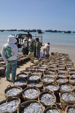 Lagi, Vietnam - 26 Şubat 2012: Su ürünleri işleme tesisi için kamyona yüklemek için bekleyen birçok sepetleri plajında yer almaktadır