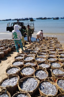 Lagi, Vietnam - 26 Şubat 2012: Su ürünleri işleme tesisi için kamyona yüklemek için bekleyen birçok sepetleri plajında yer almaktadır