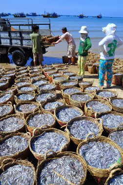 Lagi, Vietnam - 26 Şubat 2012: Su ürünleri işleme tesisi için kamyona yüklemek için bekleyen birçok sepetleri plajında yer almaktadır