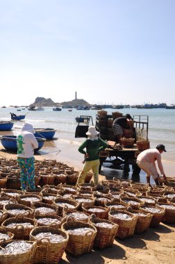 Lagi, Vietnam - 26 Şubat 2012: Su ürünleri işleme tesisi için kamyona yüklemek için bekleyen birçok sepetleri plajında yer almaktadır