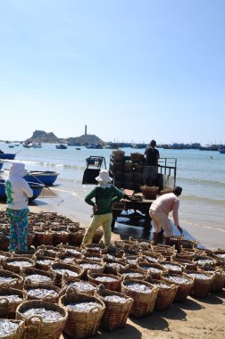 Lagi, Vietnam - 26 Şubat 2012: Su ürünleri işleme tesisi için kamyona yüklemek için bekleyen birçok sepetleri plajında yer almaktadır
