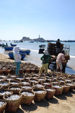 Lagi, Vietnam - 26 Şubat 2012: Su ürünleri işleme tesisi için kamyona yüklemek için bekleyen birçok sepetleri plajında yer almaktadır