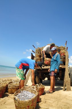 Lagi, Vietnam - 26 Şubat 2012: Yerel balıkçılar balıkçılık kamyona Lagi Beach işleme tesisi için karşıya