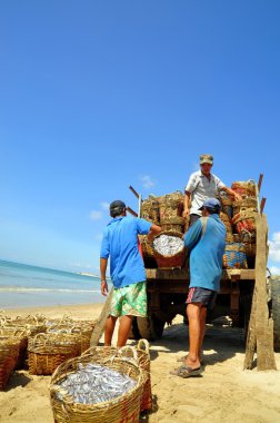 Lagi, Vietnam - 26 Şubat 2012: Yerel balıkçılar balıkçılık kamyona Lagi Beach işleme tesisi için karşıya