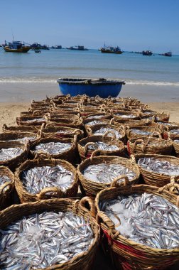 Lagi, Vietnam - 26 Şubat 2012: Su ürünleri işleme tesisi için kamyona yüklemek için bekleyen birçok sepetleri plajında yer almaktadır