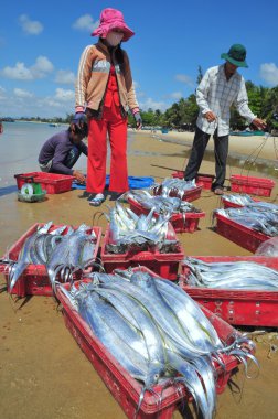 Lagi, Vietnam - 26 Şubat 2012: Yerel balıkçılar onların balıklar yerli halk ve turistler Lagi sahilde için Satıyoruz