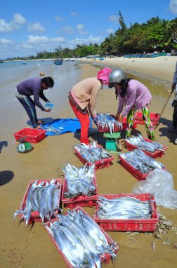 Lagi, Vietnam - 26 Şubat 2012: Yerel balıkçılar onların balıklar yerli halk ve turistler Lagi sahilde için Satıyoruz