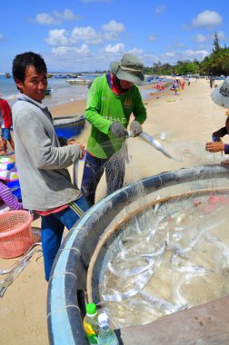 Lagi, Vietnam - 26 Şubat 2012: Yerel balıkçılar balıkları Lagi Beach balıkçılık ağları kaldırdığınızı