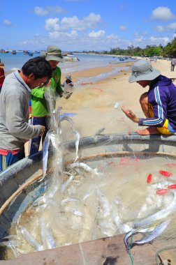 Lagi, Vietnam - 26 Şubat 2012: Yerel balıkçılar balıkları Lagi Beach balıkçılık ağları kaldırdığınızı