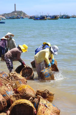 Lagi, Vietnam - 26 Şubat 2012: Yerel kadın kamyoneti tekne balıklara taşınmasında kullanılan kendi sepetleri temizlik yapıyorsun