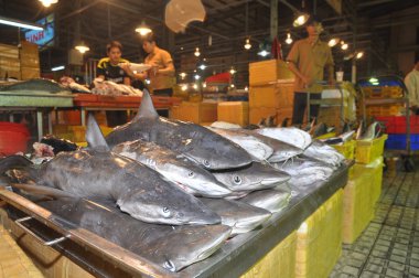 Ho Chi Minh City, Vietnam - 28 Kasım 2013: Köpekbalıkları Binh Dien toptan gece deniz ürünleri pazarında satın alma, en büyüğü Ho Chi Minh city, Vietnam için bekliyor