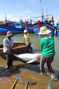 Phu Yen, Vietnam - 28 Şubat 2012: Yerel balıkçılar balığı kendi gemiler sedye taşınması ve Tuy Hoa seaport test eve getirmek