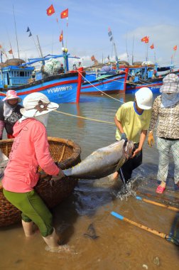 Phu Yen, Vietnam - 28 Şubat 2012: Yerel balıkçılar balığı kendi gemiler sedye taşınması ve Tuy Hoa seaport test eve getirmek