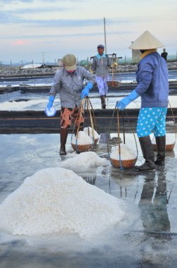 Ninh Hoa, Vietnam - 2 Mart 2012: Vietnam kadın sert tuz özü alanlardan depolama alanları için toplamak için akneden