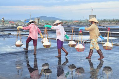 Ninh Hoa, Vietnam - 2 Mart 2012: Vietnam kadın sert tuz özü alanlardan depolama alanları için toplamak için akneden