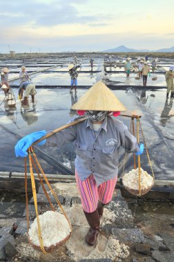 Ninh Hoa, Vietnam - 2 Mart 2012: Vietnam kadın sert tuz özü alanlardan depolama alanları için toplamak için akneden