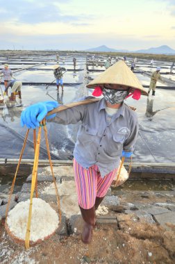Ninh Hoa, Vietnam - 2 Mart 2012: Vietnam kadın sert tuz özü alanlardan depolama alanları için toplamak için akneden