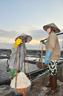Ninh Hoa, Vietnam - 2 Mart 2012: Vietnam kadın sert tuz özü alanlardan depolama alanları için toplamak için akneden